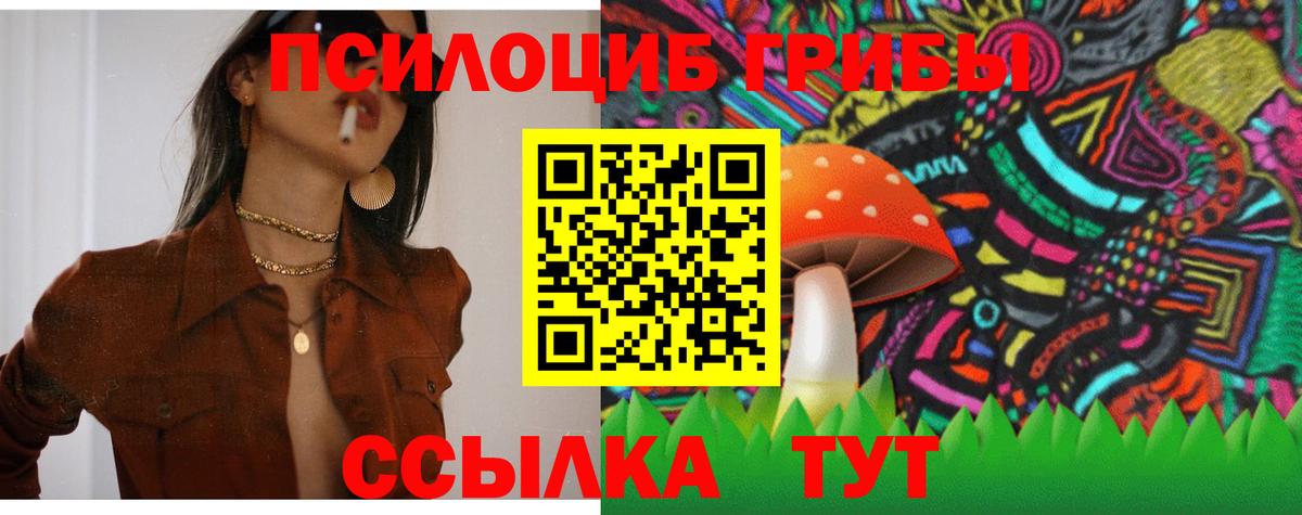 Галлюциногенные грибы мицелий  Вход с VPN  Псилоцибиновые грибы прущие грибы  цены   Ялуторовск 